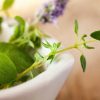 naturopathy